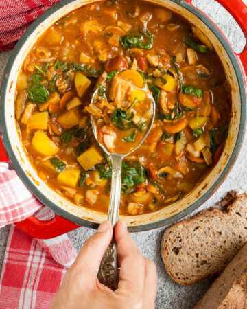 Red Dutch oven from above with a stew where you can see chopped potatoes, spinach leaves, carrot slices, tomatoes, and mushroom slices. Slices of bread is next to it. A hand is holding a spoon taking some from the middle