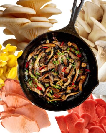 A photo collage of pan-fried mushrooms in a skillet in the middle and photos of raw oyster mushrooms of all colors from brown to yellow and pink around it.