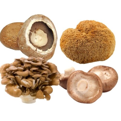 4 mushrooms in a collage