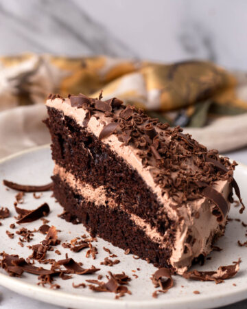 Slice of chocolate cake on a white plate.