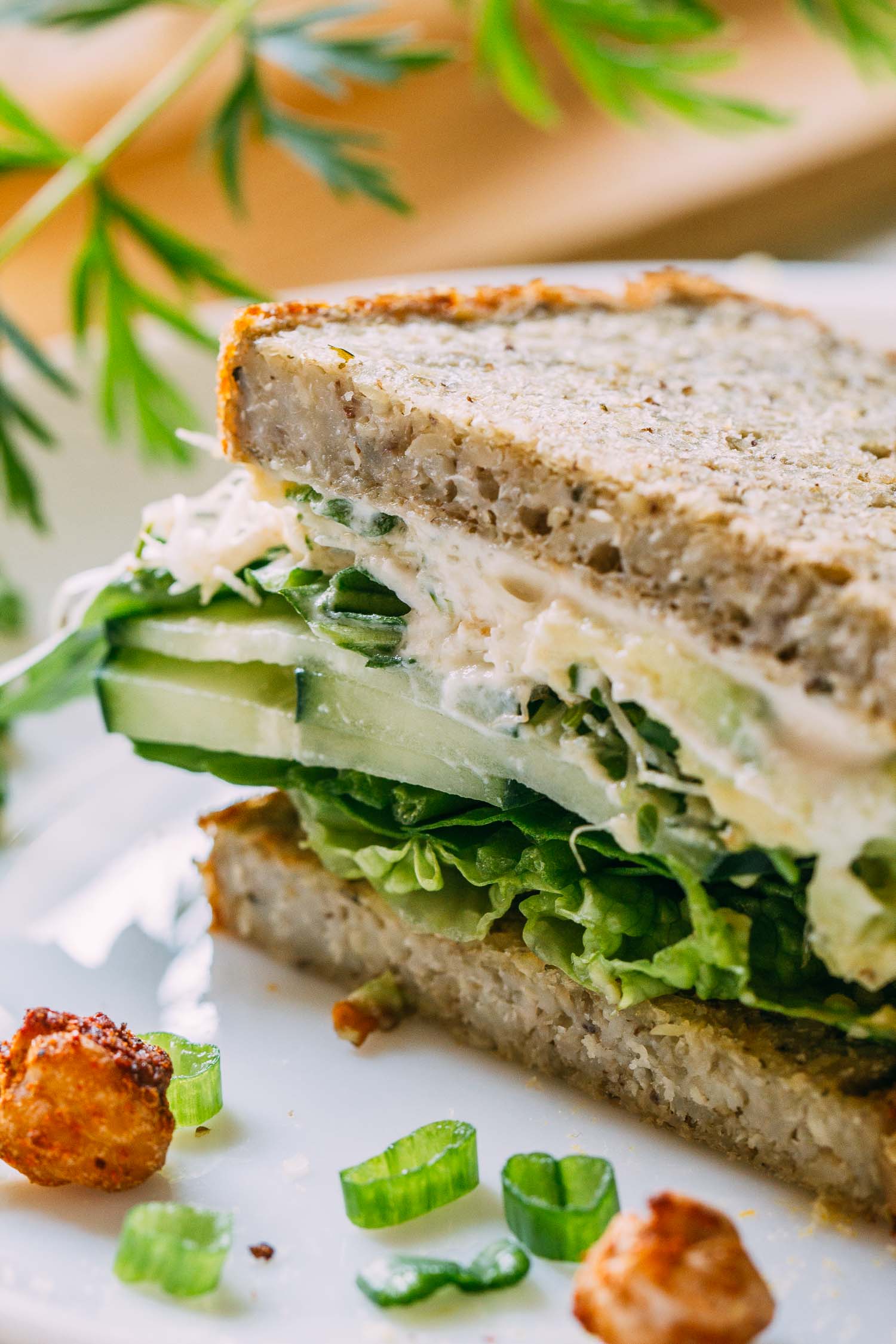 A white plate with a sandwich filled with lettuce, avocado slices, sprouts and a creamy white sauce